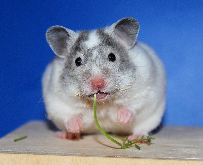 Арктика 21.04.22-03