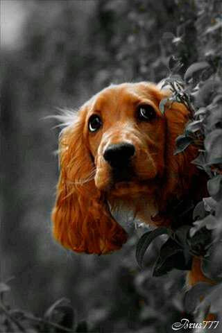 tumblr-3bbd1f998144535920a1cc035e7a8129-a00f95f8-400.webp