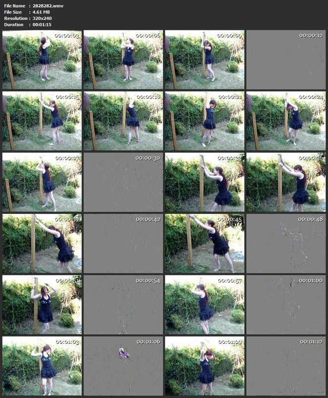 282B282.wmv