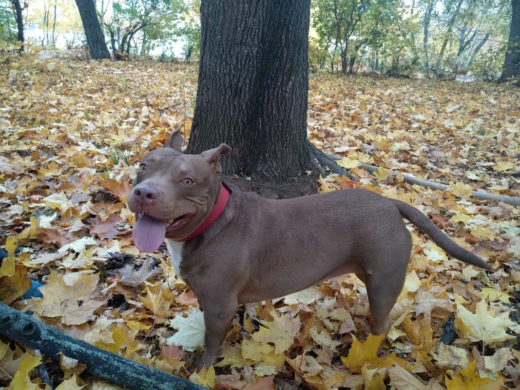 17FB20B3-EF01-478E-8494-B94C11BAA8C7