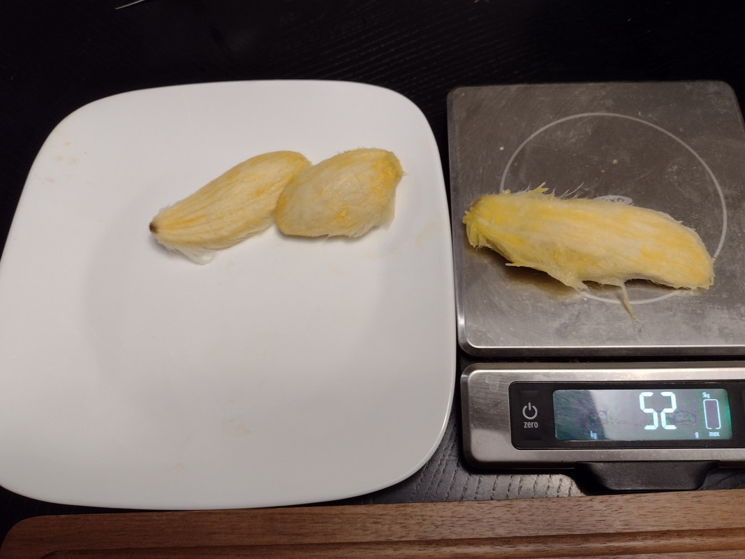 IMG_20210602_190753232