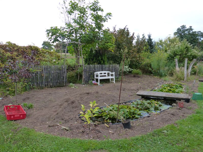 2014-08-31 Präriebeet 1