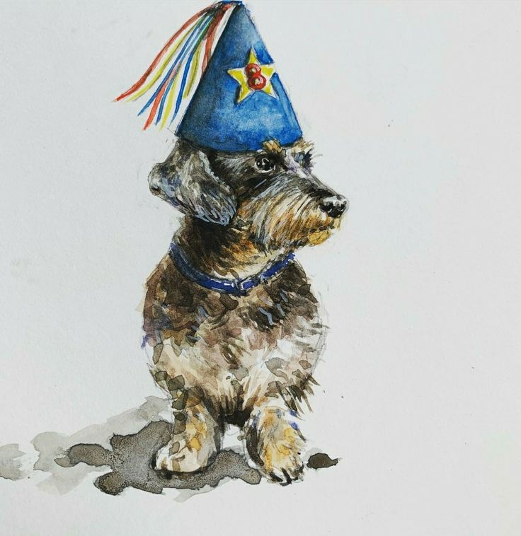 [Image: c83af25f17b5f89798308031f8175d40.jpg]