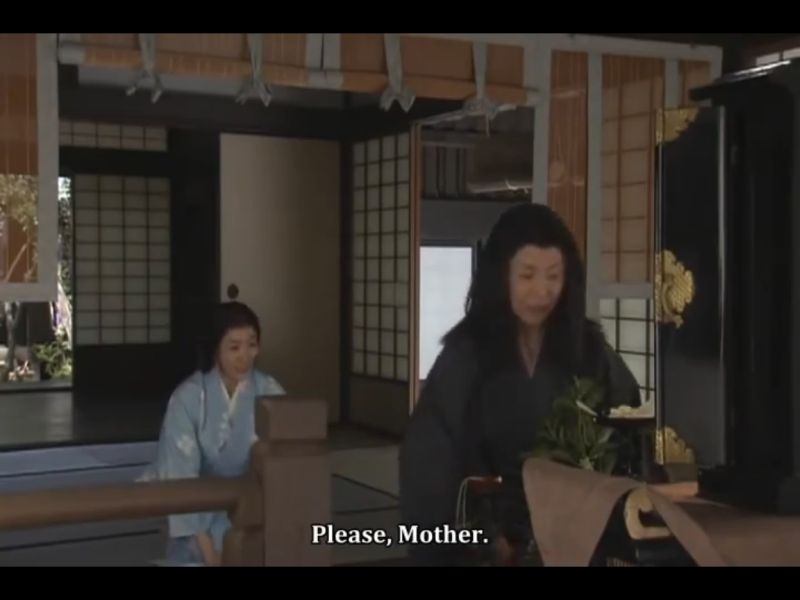 1582-d39-24-ep-lipanj-H-rezidenc-Omi-45-taiga-Komyo