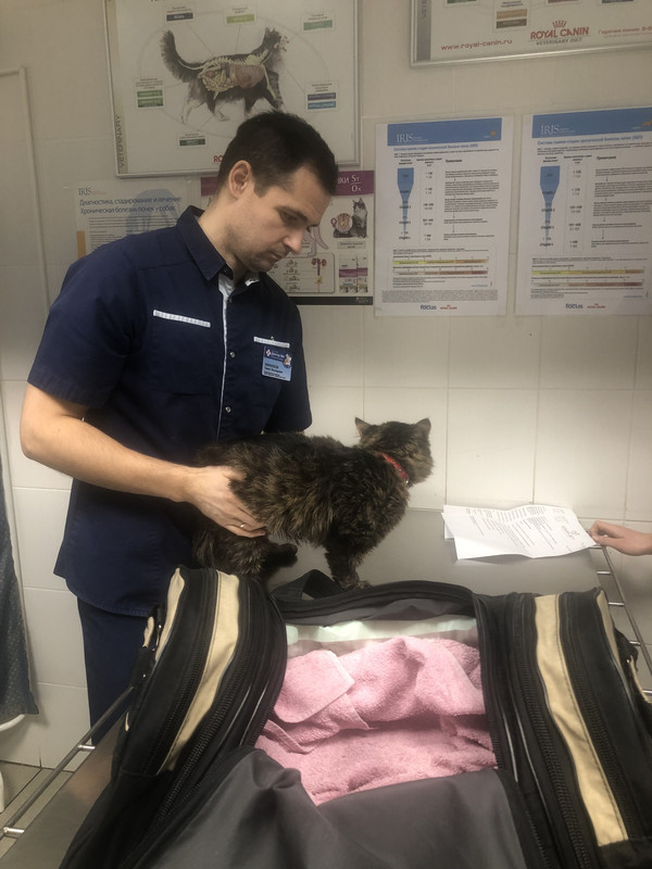 72E0FA78-EA67-486A-923B-3F5FDD9BB20E