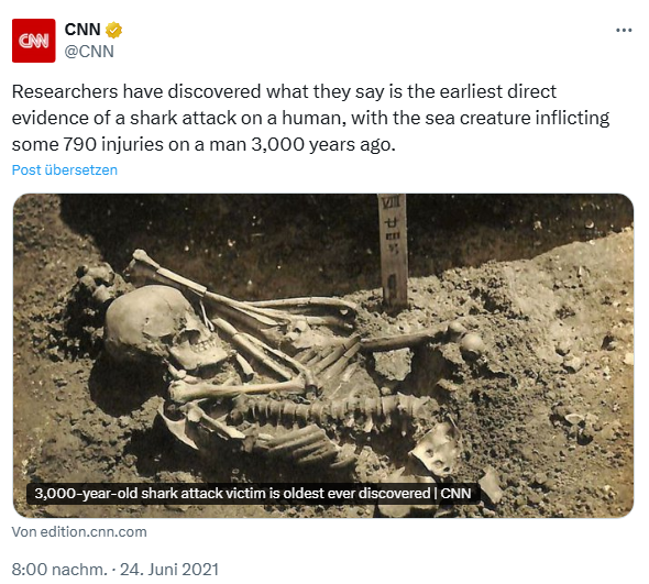 Hinweis auf Haiangriff vor 3000 Jahren in Japan