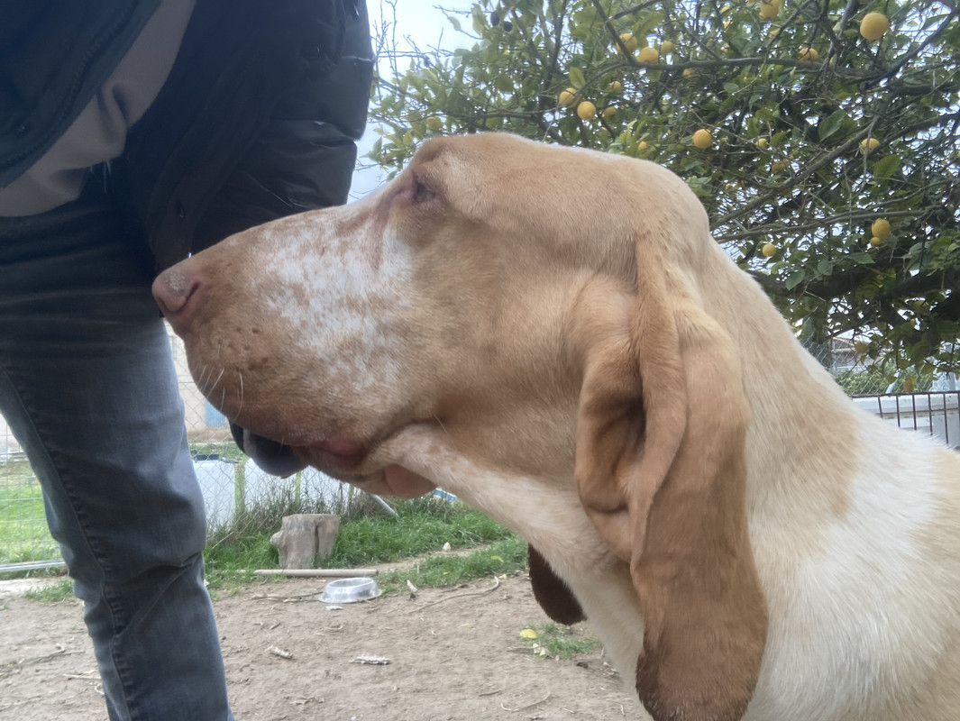 14F61E0C-60D4-43A8-8BC6-7E4FE781C9A1