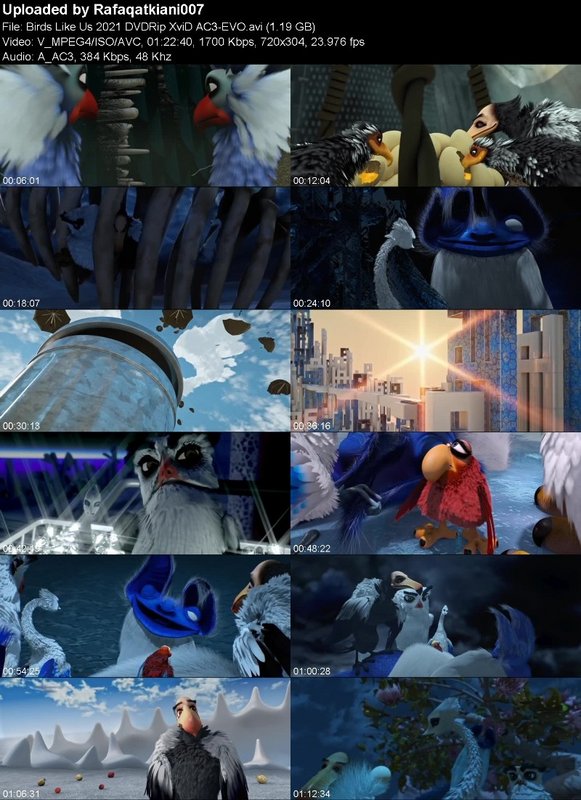 Birds Like Us 2021 DVDRip XviD AC3-EVO