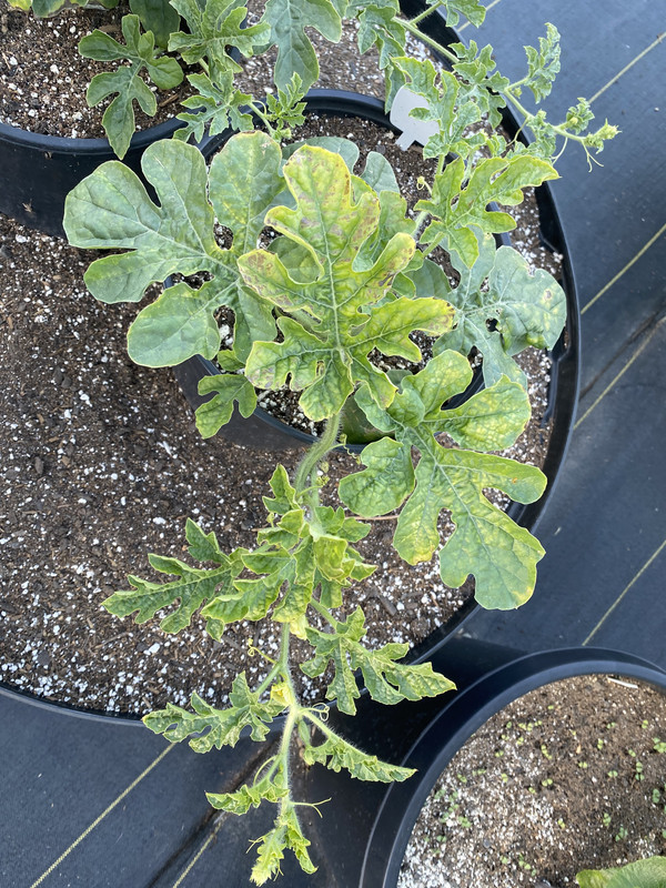 2F774F77-DDDF-4B35-A1A0-1BE1C7668BFE