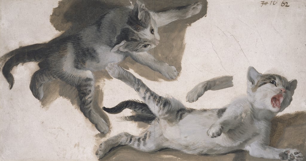 Alexandre-Francois-Desportes-Sketches-of-a-Kitten-oil-on-paper-Meister-Drucke-73033