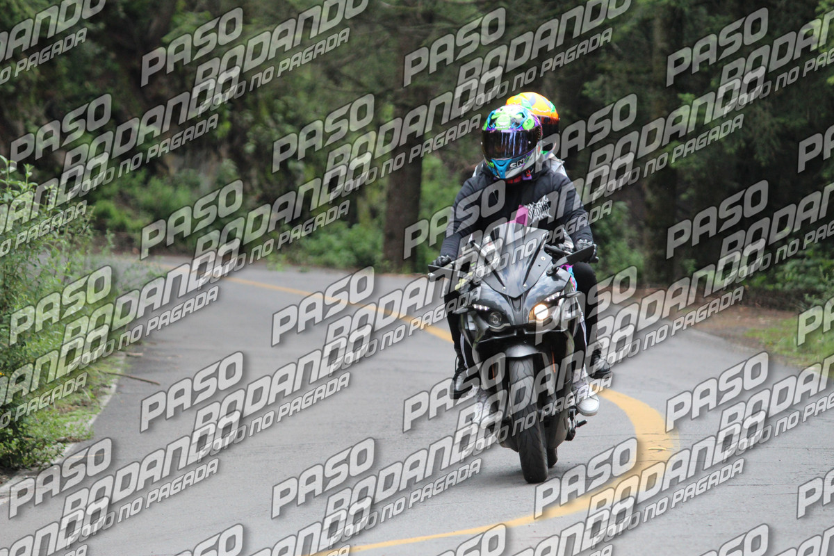 IMG 3313 wm 186712 7000000002 watermarked — Postimages