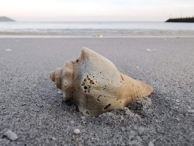 IMG-20190410-075241.jpg