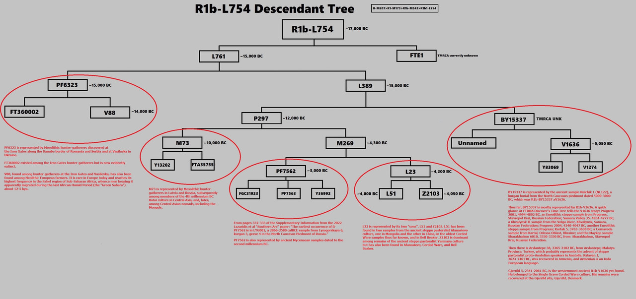 [Image: R1b-L754-Descendant-Tree-w-notes.jpg]