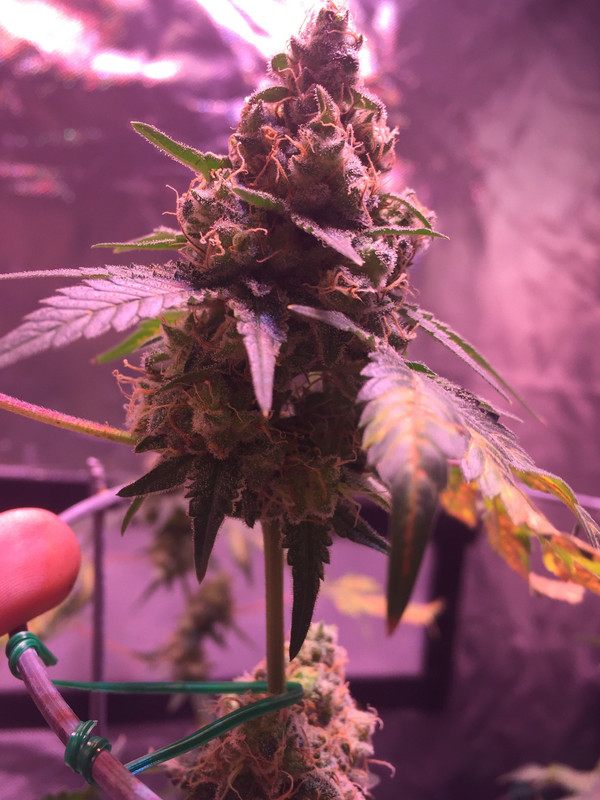 1CFF3AC4-DF62-42A8-919D-01139567F751