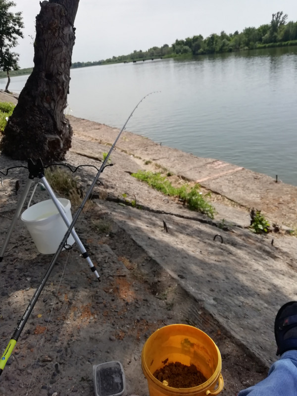 Изображение 1400