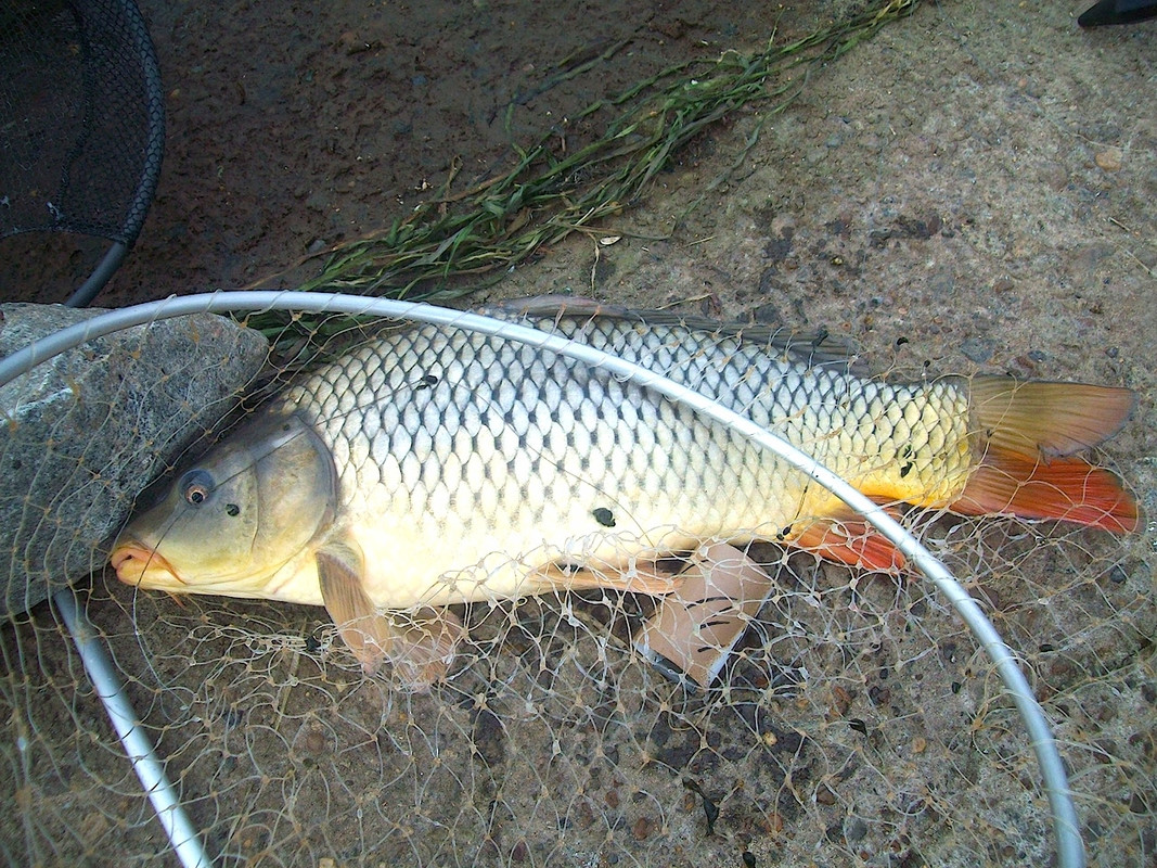 Добрянка 9.10.13 г 01