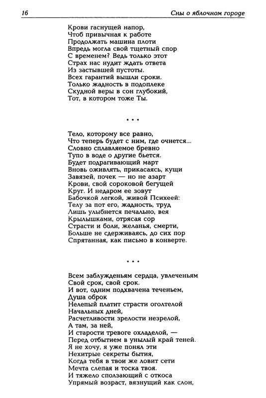 Mashevskij-Aleksej-Sny-o-jablochnom-gorode-page-0017
