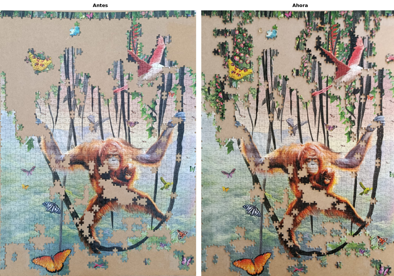 comparativa puzzle 05 v2(1)