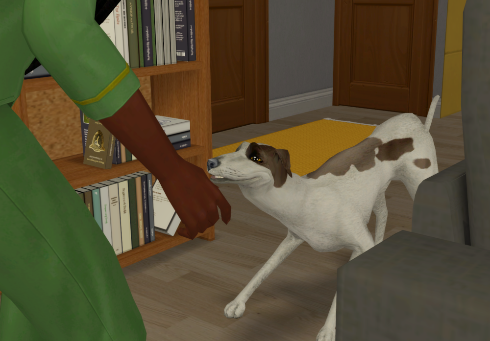 Sims2-EP9-RPC-2021-09-06-14-45-59-76