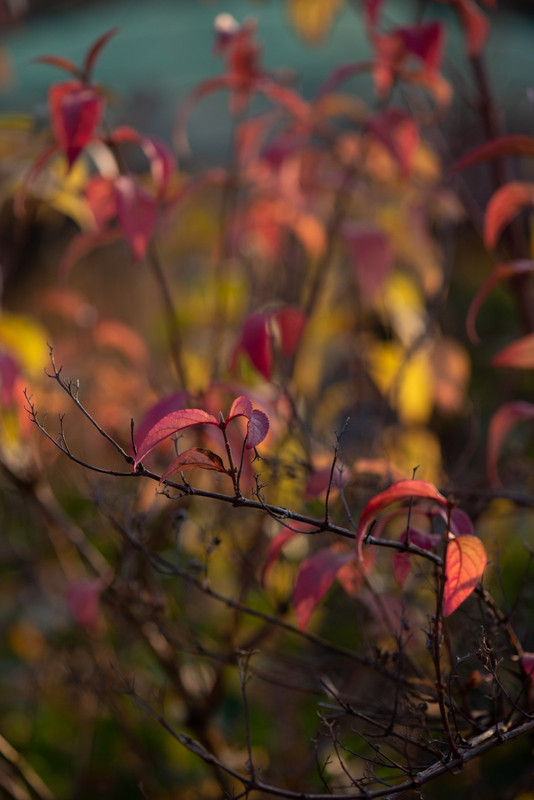 IMG-dd9d157dd396fd9b45b47d5f369e6c40-V