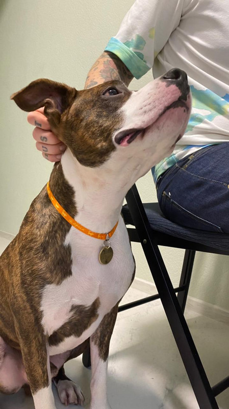 C2A6EC96-E876-4923-B2BC-02EFA392FA67