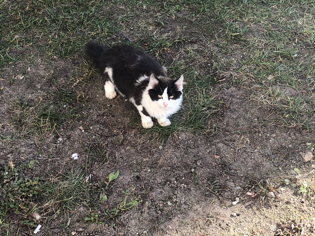 089A859C-1CC9-46BB-88CD-EAA85B80028E