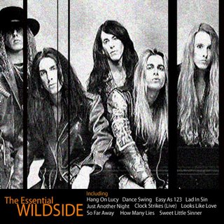 Wildside - The Essential Wildside (2008).mp3 - 320 Kbps