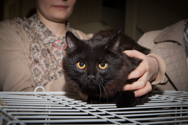 66BCA95C-E9A8-441C-B31D-5EB22A95C26E