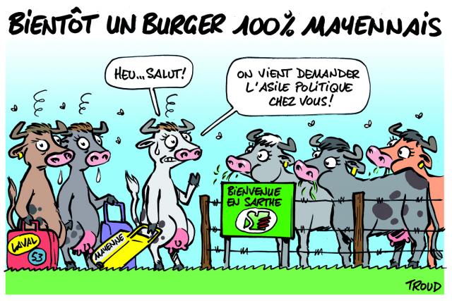 2017-l-annee-2017-vue-par-troud-en-dix-dessions_7