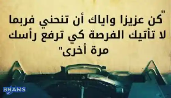 افضل الأقوال في التاريخ The-best-sayings-in-history