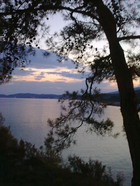 Slika