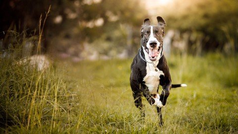 [Image: wm-Zhaj-W3-MODMKnpumnv-DNywh-LAJWP7-MM.jpg]