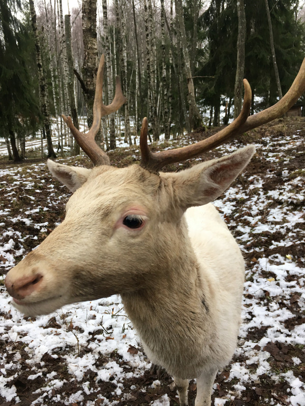 EA565458-4762-4944-9D7B-2DCAD3684BA1