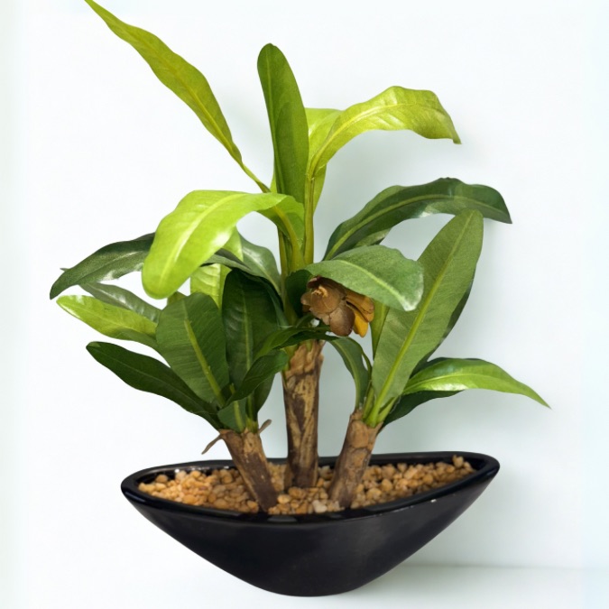28 cm - 2