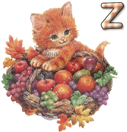 El Gatito y las Frutas  Z