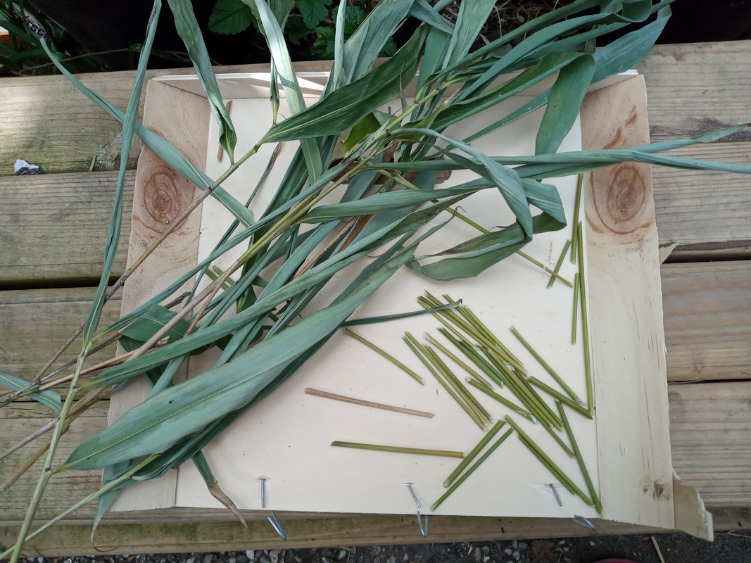 [Image: 20220430-103350.jpg]