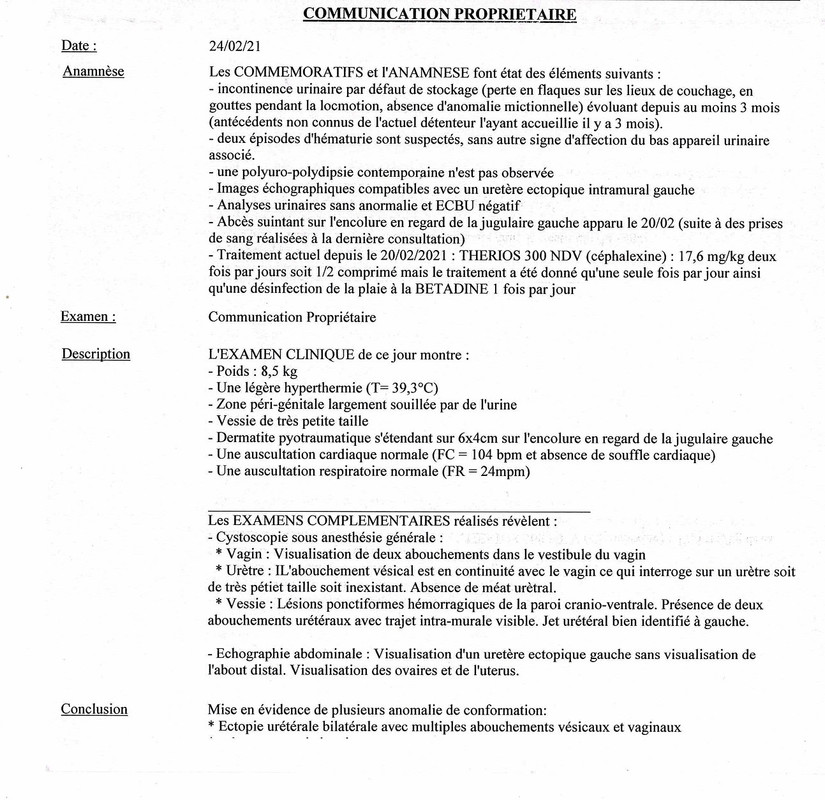 [Image: Num-risation-20210327.jpg]