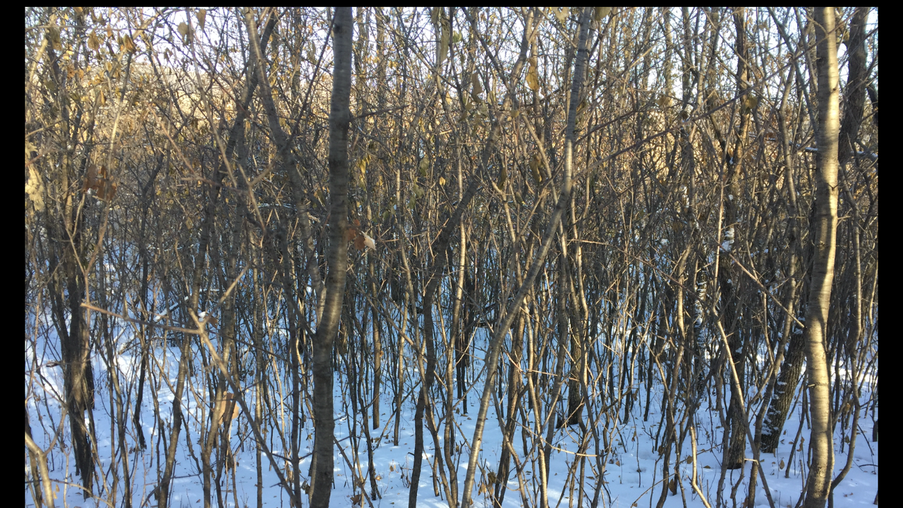 2426BB7D-FDE7-4019-A618-9FEF11794543