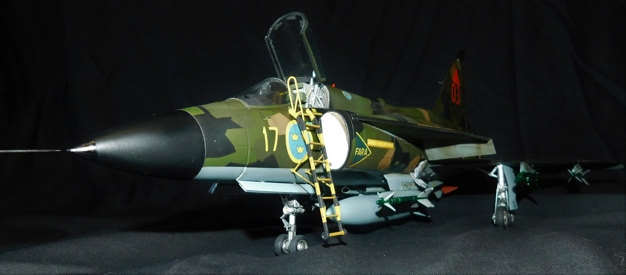 VIGGEN9.jpg