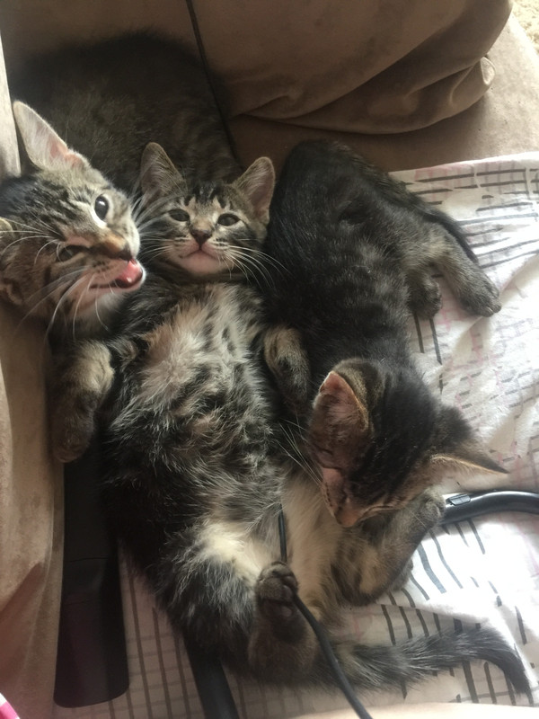 CD855BDC-3F72-46C5-88ED-F0EA7F549D4E