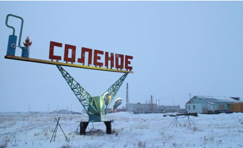 1973-2 соленое