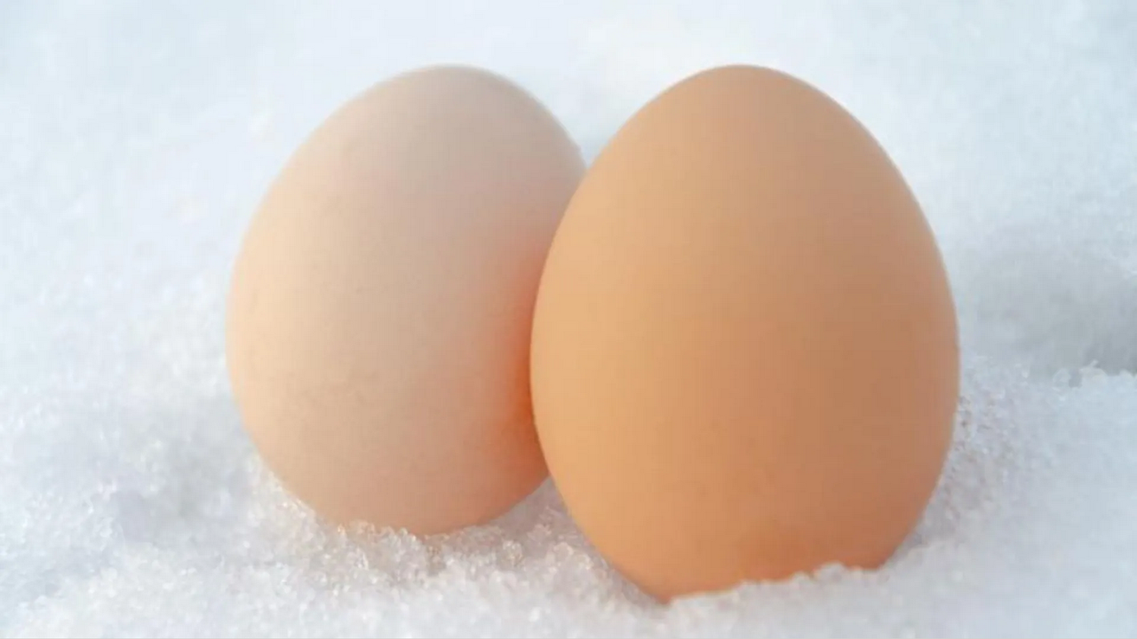 ¿Se pueden congelar los huevos?