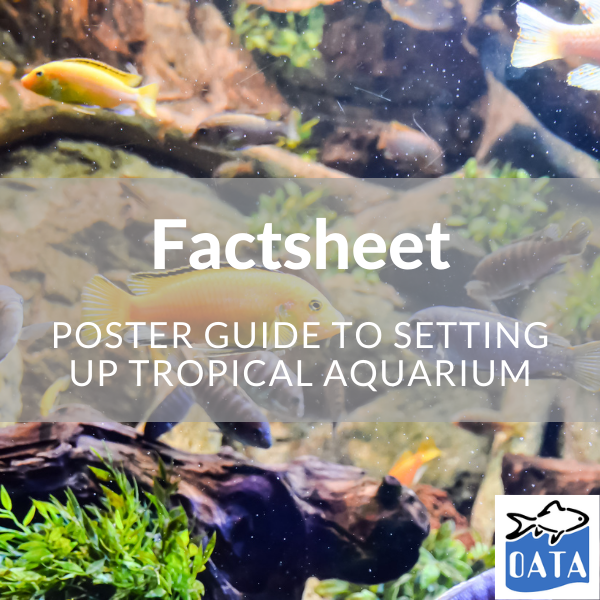 OATA Tropical Fish factsheet - Lincs Aquatics
