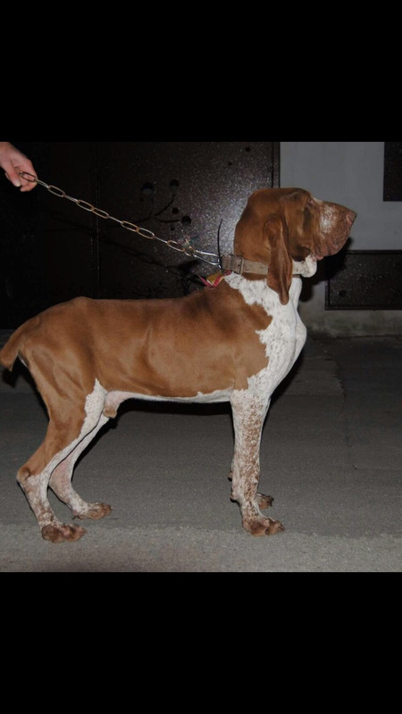 9E61FC22-EB49-407A-BBA8-948A26F14ABD