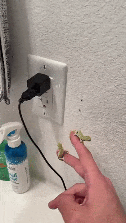 https://i.postimg.cc/J7qbrNTX/3.gif