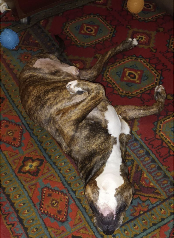 Снимок экрана 2025-01-27 в 23.17.34