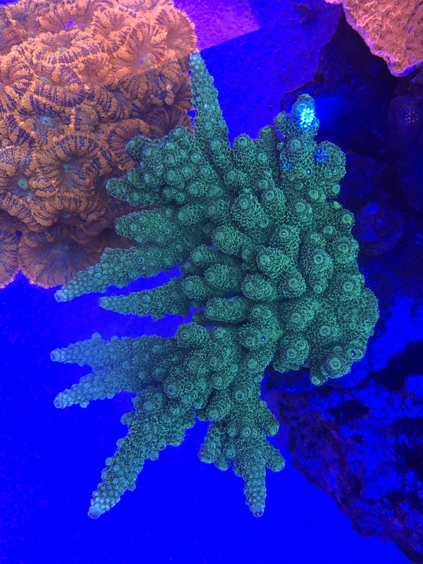 381176C0-2610-49B1-901A-0BB42D09009E