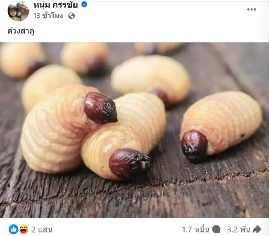 7t-Fw6zhp9ukwvk-Uss-GPT