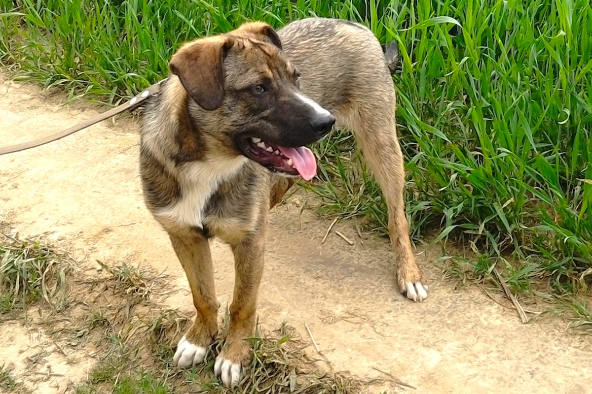 IMG_20190525_120613E