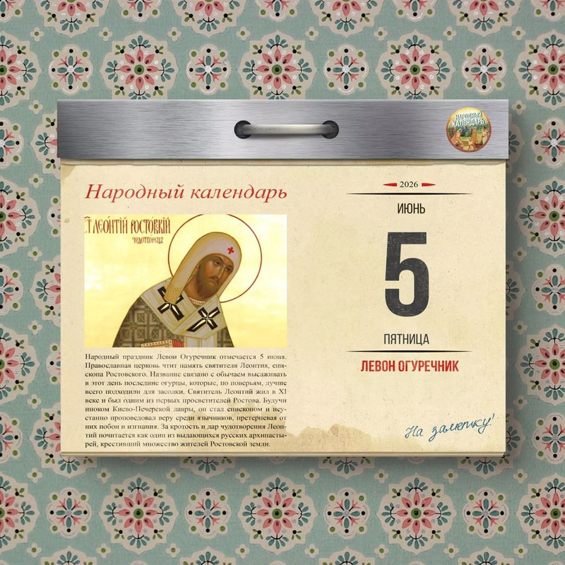 [Изображение: photo-2026-06-05-08-04-20.jpg]